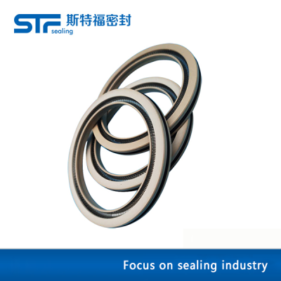 Rotating spring seal ring