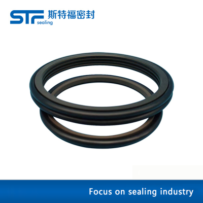 Dual dust-proof sealing ring