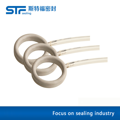 Gas-filled sealing ring