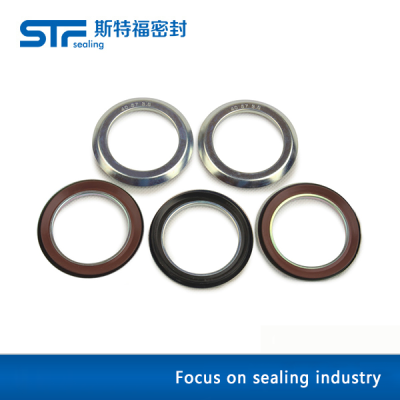 Module oil seal