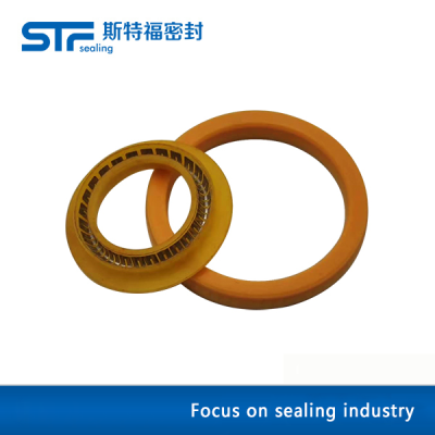 Hole shaft dual purpose spring energy storage seal ring